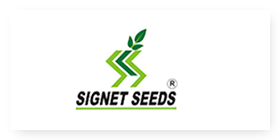 Signet-Seeds
