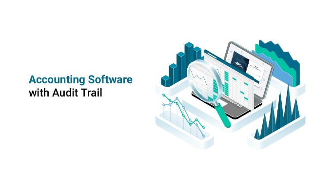accounting software with audit trail